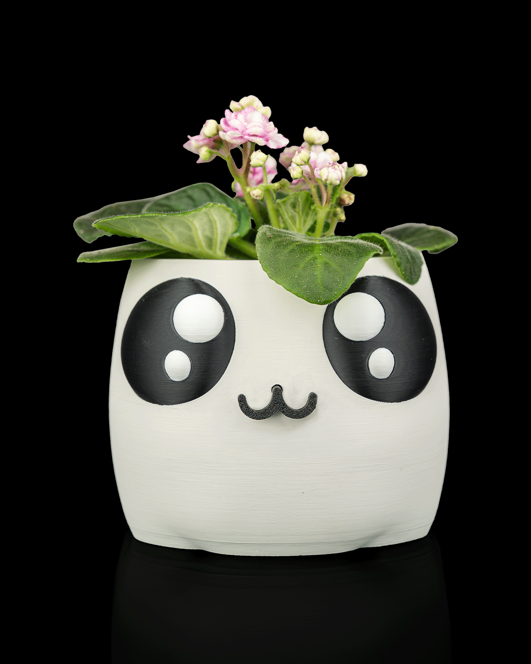 Bloopface